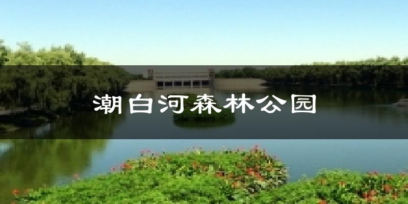 潮白河森林公园天气预报十五天