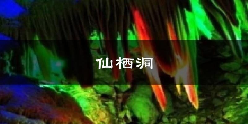 仙栖洞天气预报十五天