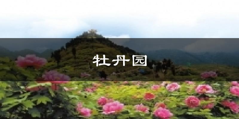 牡丹园天气预报十五天