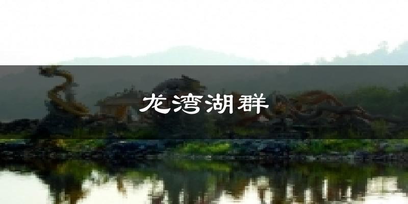 龙湾湖群天气预报十五天