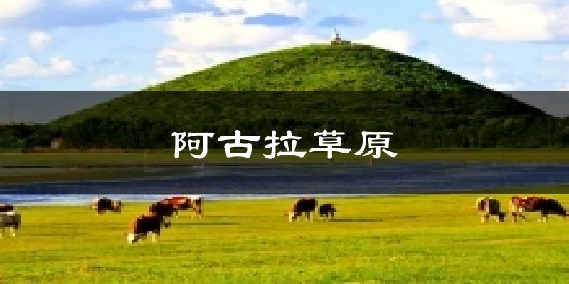 阿古拉草原天气预报十五天