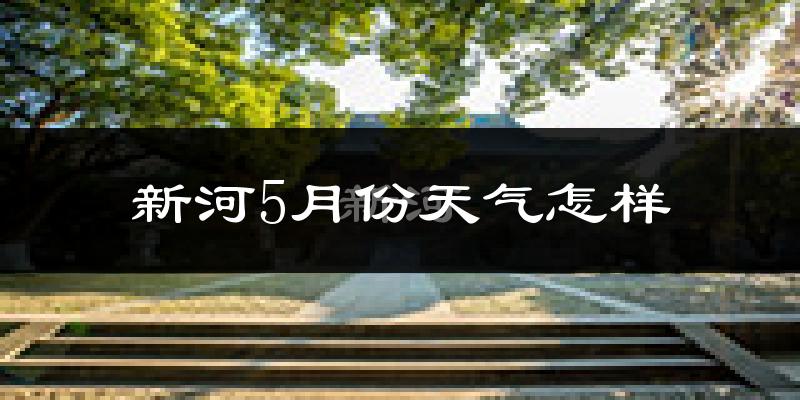 新河县5月份天气如何?很热吗?