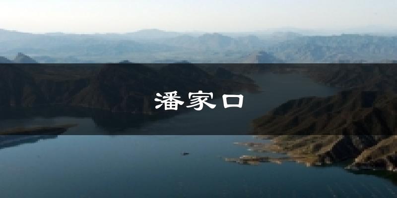 潘家口天气预报十五天