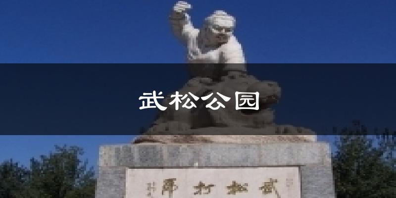 武松公园天气预报十五天
