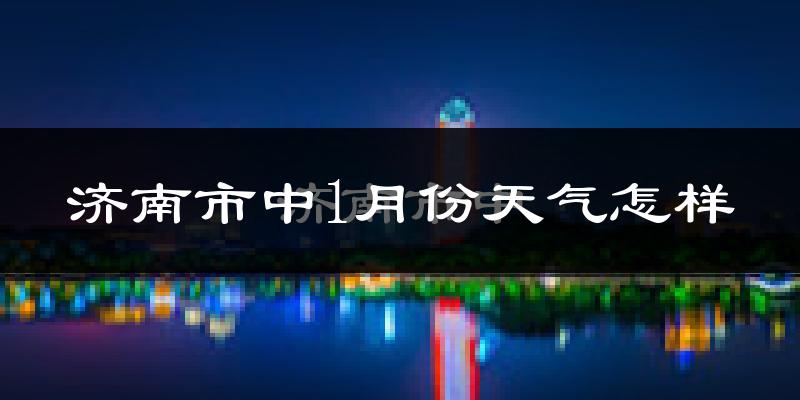 济南市中1月份天气怎样?济南市中一月冷不冷?