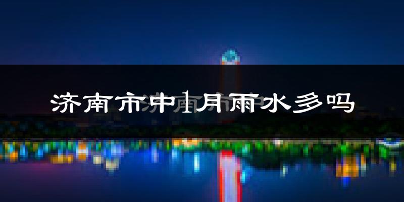 济南市中1月雨水多吗?