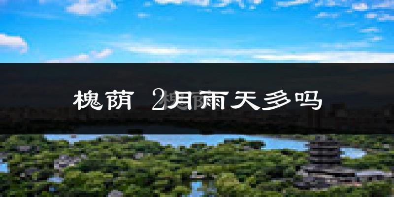 槐荫 2月雨天多吗?