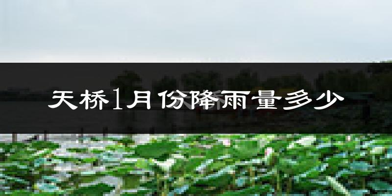 天桥1月份降雨量多少?天桥一月下雨多吗?
