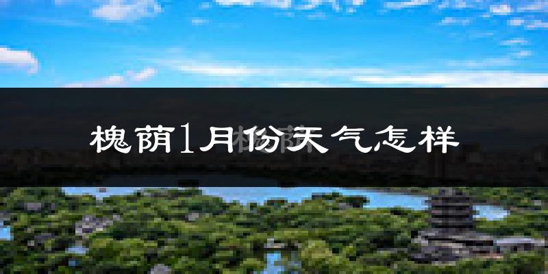 槐荫1月份天气怎样?槐荫一月冷吗?