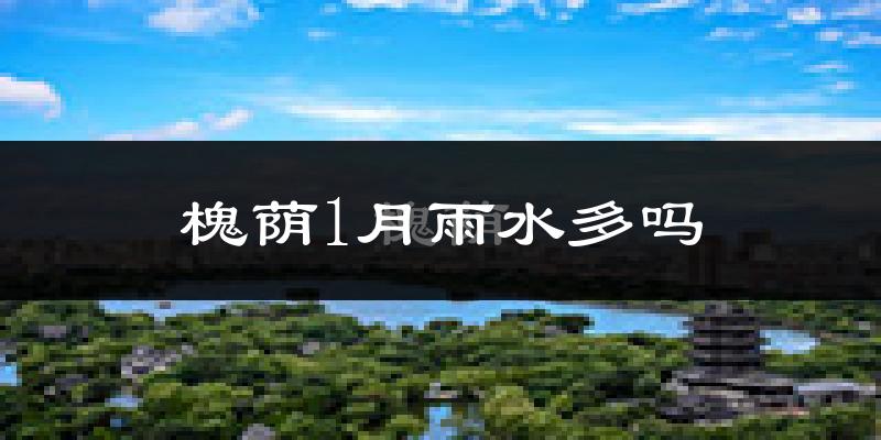 槐荫1月雨水多吗?