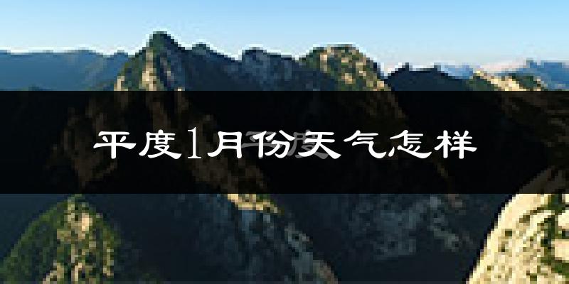 平度市1月份天气如何?很冷吗?