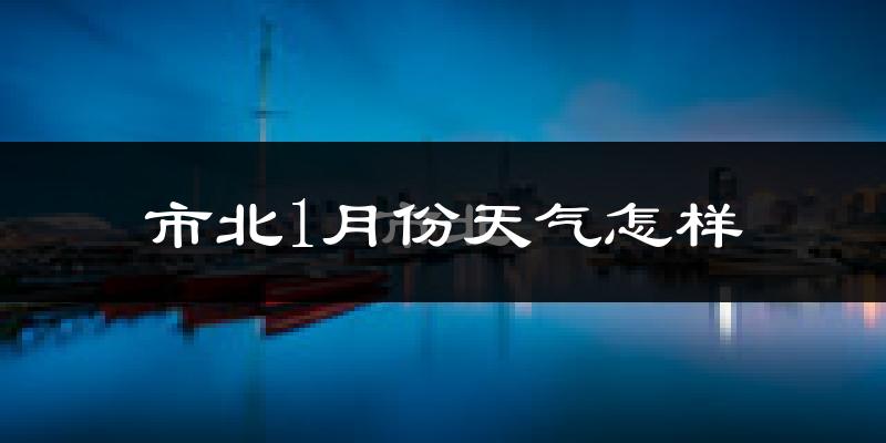 市北1月份天气怎样?市北一月冷吗?