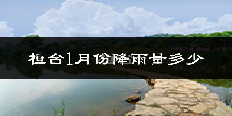桓台1月份降雨量多少?桓台一月下雨多吗?