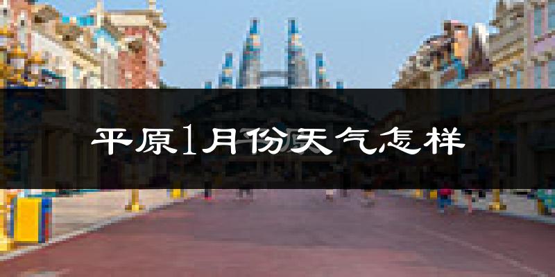 平原县1月份天气如何?很冷吗?