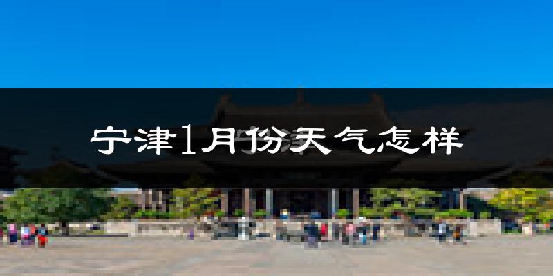 宁津县1月份天气如何?很冷吗?