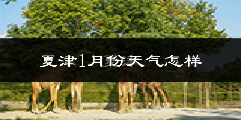 夏津县1月份天气如何?很冷吗?