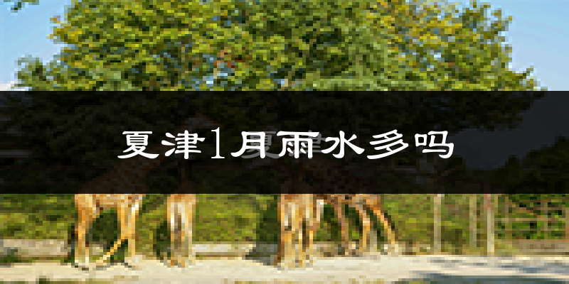 夏津1月雨水多吗?