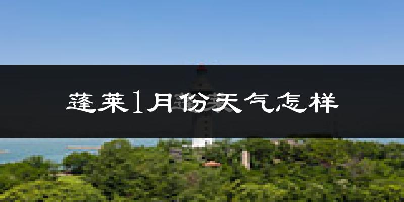 蓬莱市1月份天气如何?很冷吗?