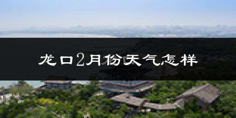 龙口市2月份天气如何?很冷吗?
