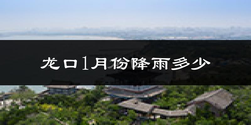 龙口1月份降雨多少?