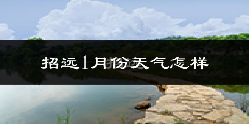 招远市1月份天气如何?很冷吗?