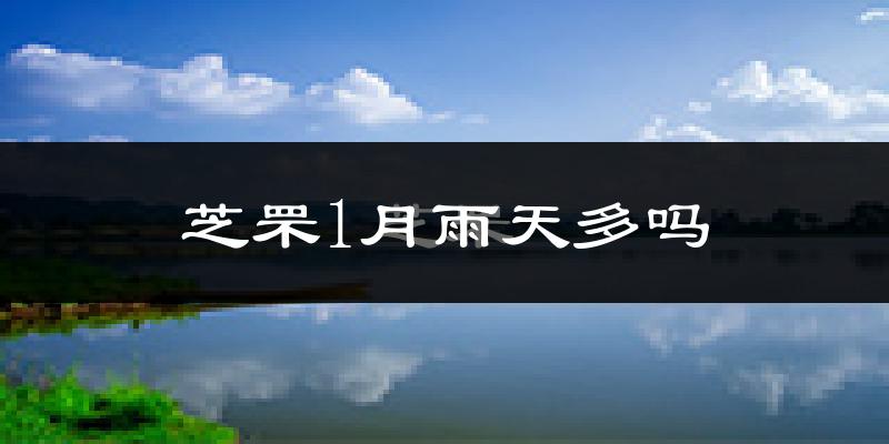 芝罘1月雨天多吗?