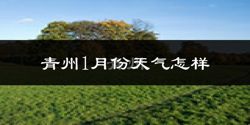 青州市1月份天气如何?很冷吗?