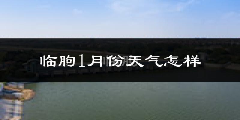 临朐县1月份天气如何?很冷吗?