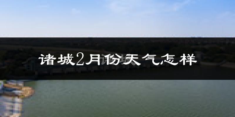 诸城市2月份天气如何?很冷吗?