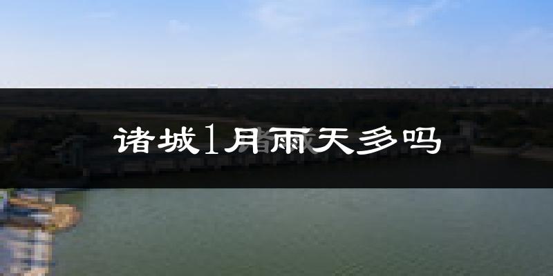 诸城1月雨天多吗?