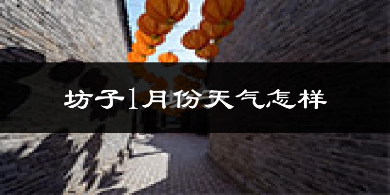 坊子1月份天气怎样?坊子一月冷不冷?
