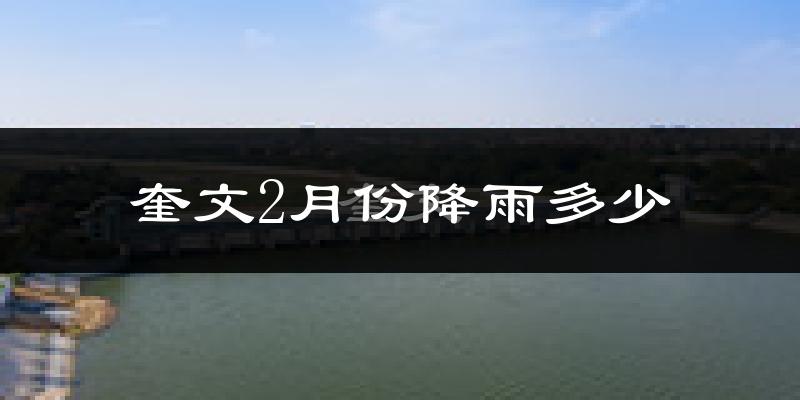 奎文2月份降雨多少?