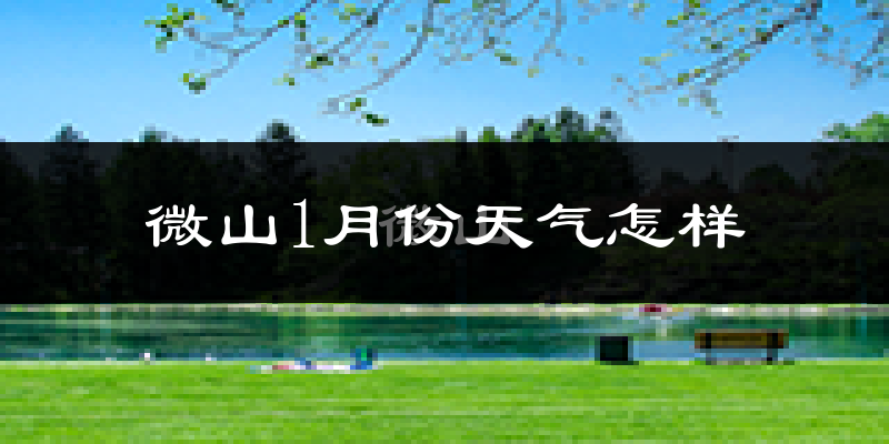 微山县1月份天气如何?很冷吗?