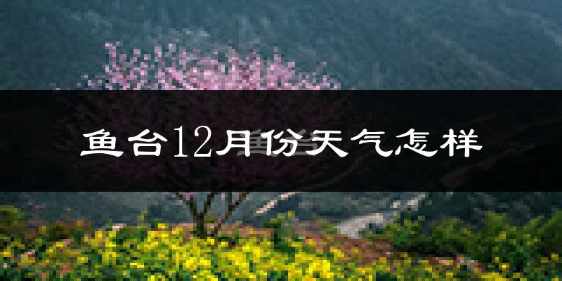 鱼台12月份天气怎样?鱼台十二月冷不冷?