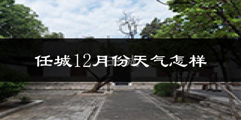 任城12月份天气怎样?任城十二月冷吗?