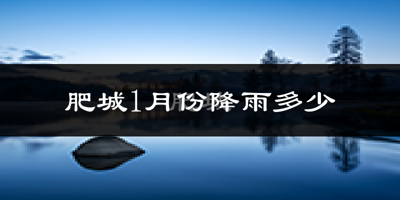 肥城1月份降雨多少?