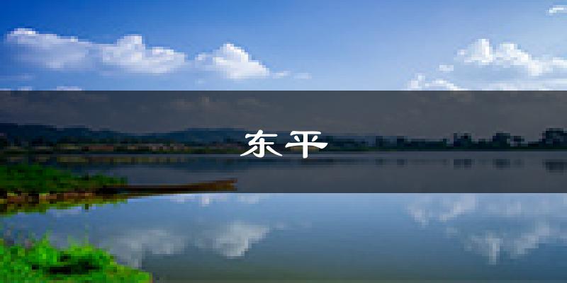 东平天气预报未来一周