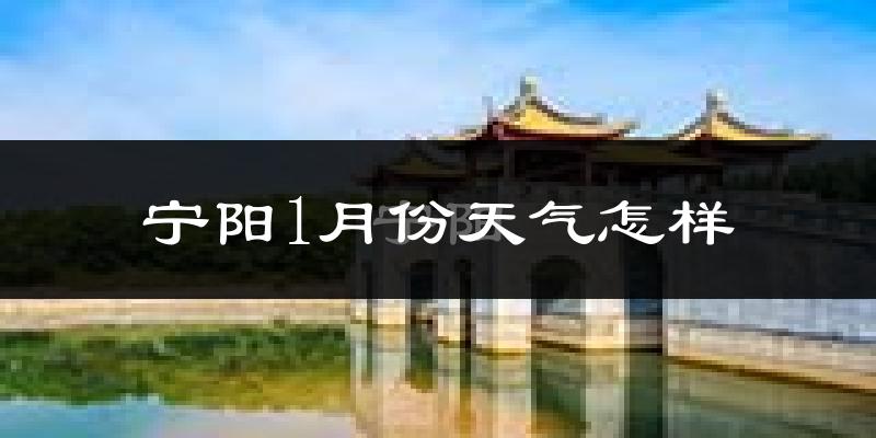 宁阳县1月份天气如何?很冷吗?