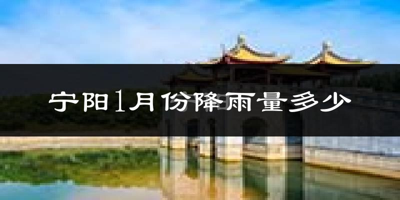 宁阳1月份降雨量多少?宁阳一月下雨多吗?