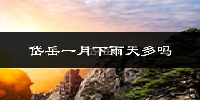 岱岳一月下雨天多吗?岱岳1月份降雨量多少?
