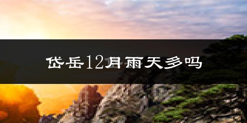 岱岳12月雨天多吗?