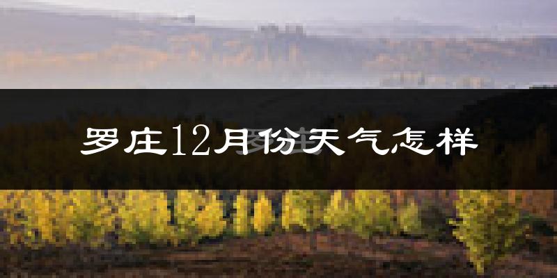 罗庄12月份天气怎样?罗庄十二月冷吗?