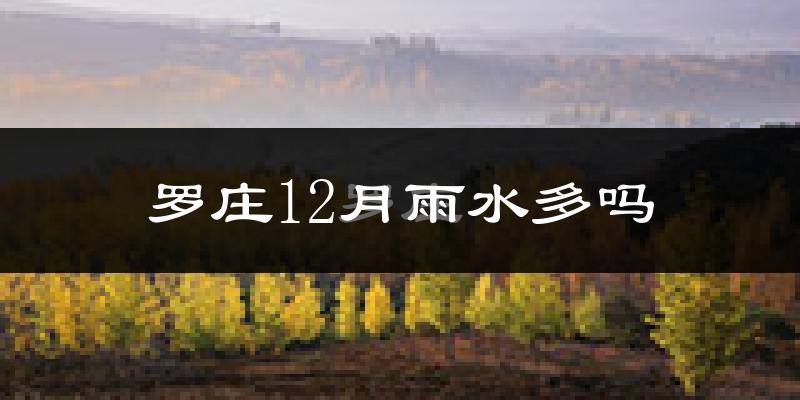 罗庄12月雨水多吗?