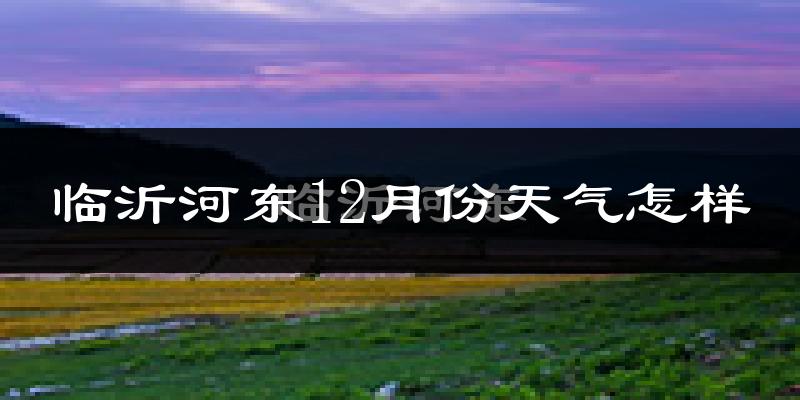 临沂河东12月份天气怎样?临沂河东十二月冷吗?