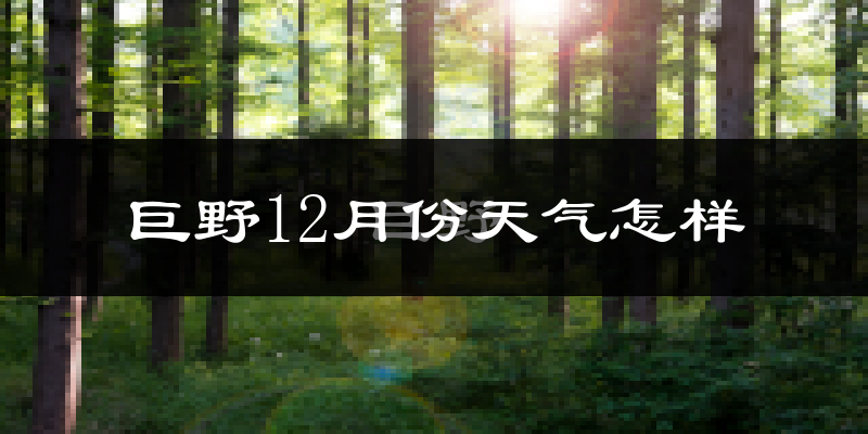 巨野12月份天气怎样?巨野十二月冷吗?