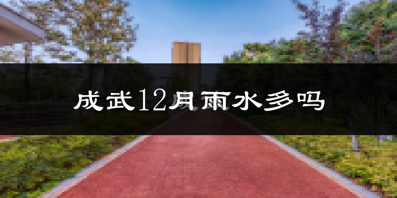 成武12月雨水多吗?
