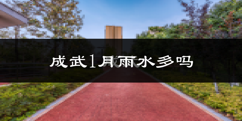 成武1月雨水多吗?
