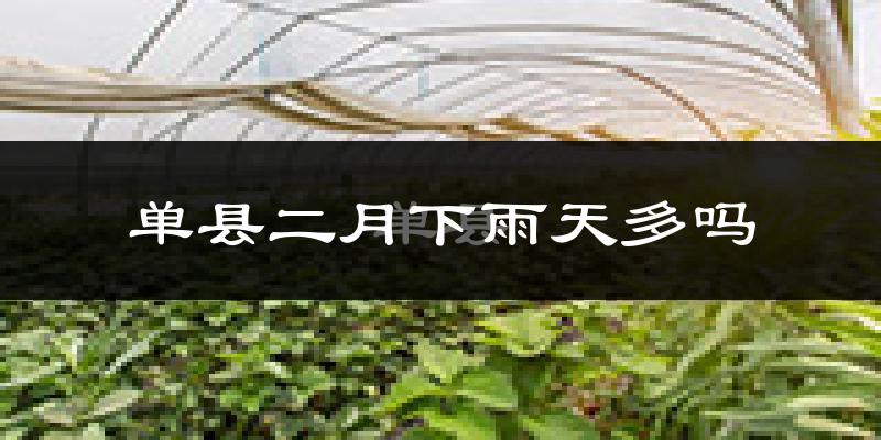 单县二月下雨天多吗?单县2月份降雨量多少?