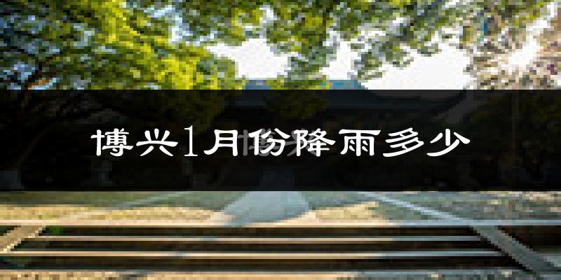 博兴1月份降雨多少?