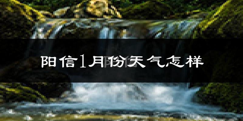 阳信县1月份天气如何?很冷吗?